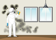 Say Goodbye to Mold: Expert Mold Removal Services Today!